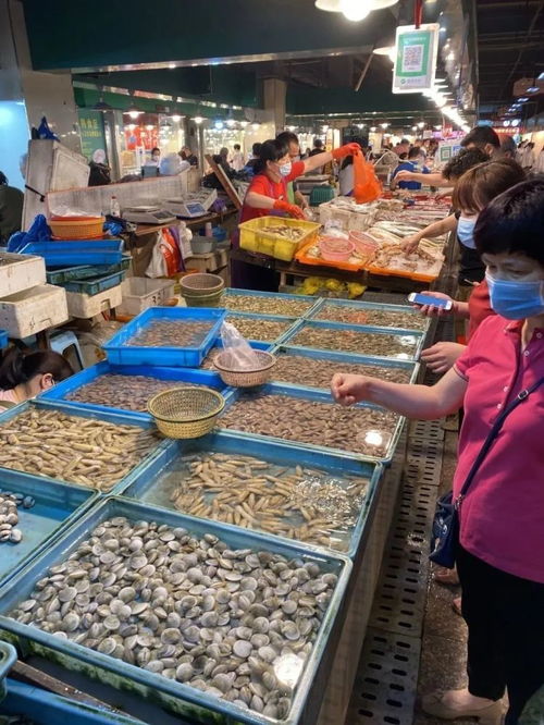 5月1日起溫州全面進(jìn)入海洋伏季休漁期 還能享受哪些海鮮與養(yǎng)殖水產(chǎn)品？